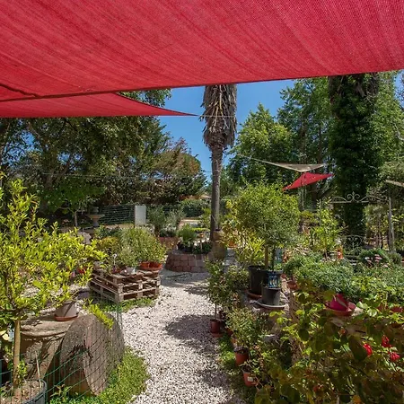 Apartamento Ferme Saint-antoine - Camelia Gassin