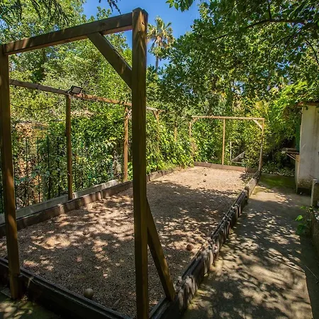 Ferme Saint-antoine - Camelia