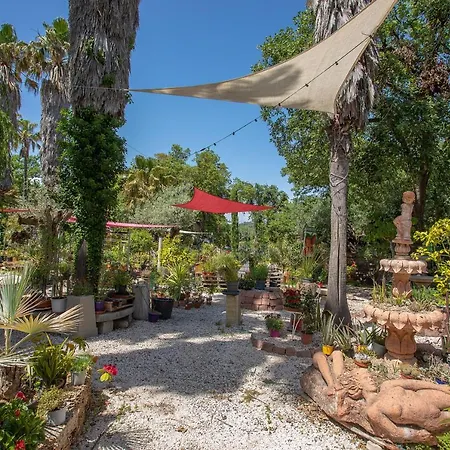 Ferme Saint-antoine - Camelia Apartamento *