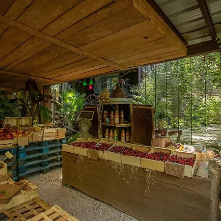 Ferme Saint-antoine - Camelia Apartamento Gassin