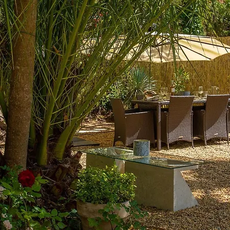 Ferme Saint-antoine - Camelia *