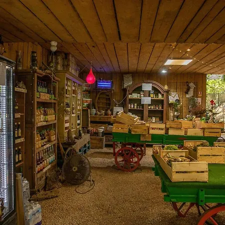 Ferme Saint-antoine - Camelia *